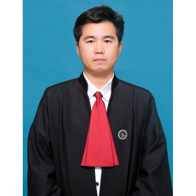 庞晓哲  合伙人律师